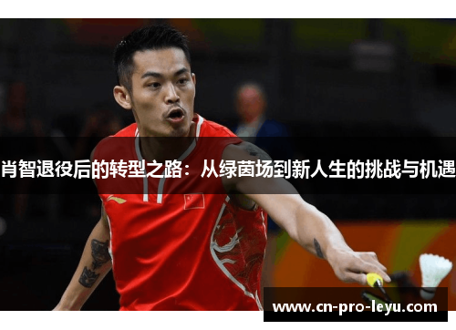 肖智退役后的转型之路：从绿茵场到新人生的挑战与机遇