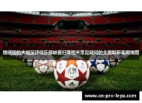 围绕加的夫城足球俱乐部联赛归属相关常见疑问的全面解析实用指南