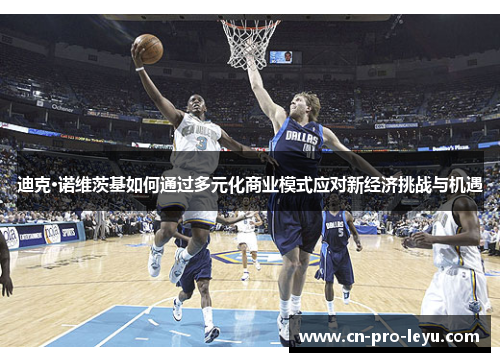 迪克·诺维茨基如何通过多元化商业模式应对新经济挑战与机遇