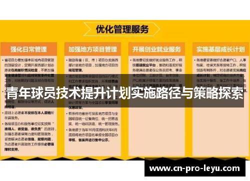 青年球员技术提升计划实施路径与策略探索